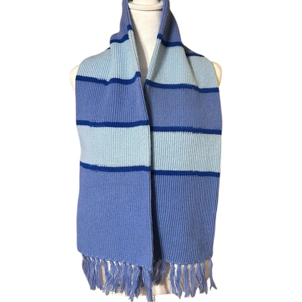 Blue Striped Scarf with Fringe